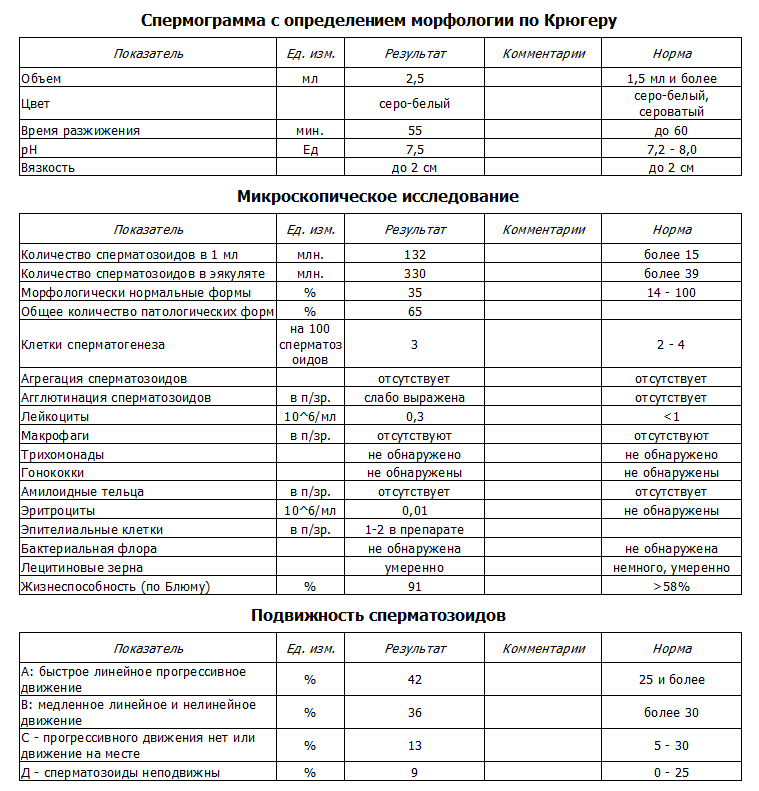 Спермограмма Спермограмма